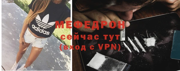 индика Богородицк