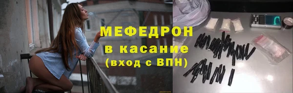 индика Богородицк