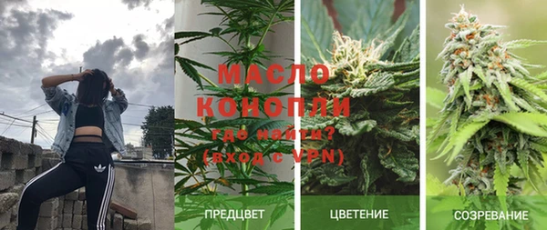 мдпв Струнино