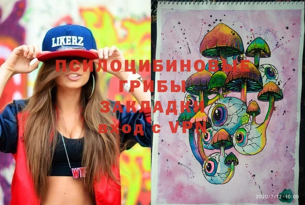 соль курить ск Верхний Тагил